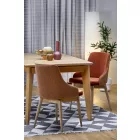 Fa asztallapos étkezőasztal T24923