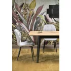 Fa asztallapos étkezőasztal T24920