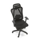 Ergonómia szék 2010001203711