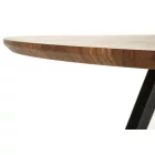 Fa asztallapos étkezőasztal 2010001203865