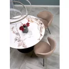 Étkezőasztal 5905248135475