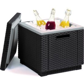 Hordozható hűtőláda 179740351