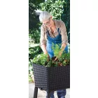 Virágláda 180262091