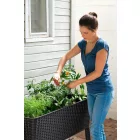 Virágláda 180262091