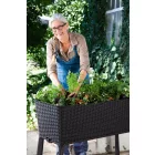 Virágláda 180262091