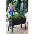 Virágláda 180262099