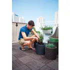 Virágcserép 180262510