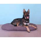 Párna kutyáknak 180396832