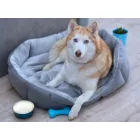 Kutyafekhely 180396865