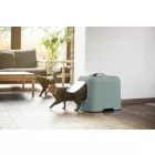 Macska WC 188989479