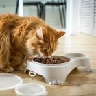 Zárható 1 L-es etető és 0.28 L-es itató tál