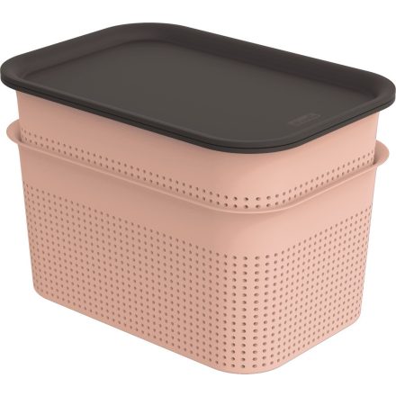 ROTHO MŰANYAG TÁROLÓ DOBOZ SZETT TETŐVEL 2X4,5 L 734863917