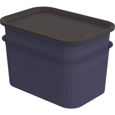 ROTHO MŰANYAG TÁROLÓ DOBOZ SZETT TETŐVEL 2X4,5 L 734864252