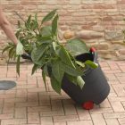 Műanyag kerti kocsi 742207617