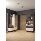 Box-259 vitrin