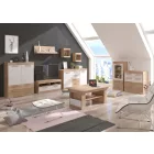 Max-608 üveg vitrin