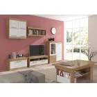 Max-610 üveges vitrin