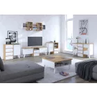 Nor-770 TV-állvány