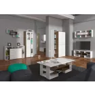 Rio-996 TV polcok