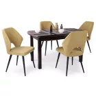 Favázas étkezőszék zöld T14915