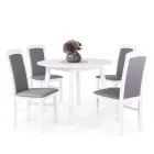 Favázas étkezőszék fehér T14918