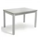 Fa étkezőasztal Fehér 120 T15784-2-5092