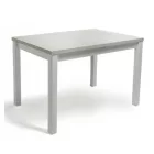 Fa étkezőasztal Fehér 120 T15784-2-5092