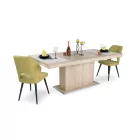 8 személyes kibővíthető étkező garnitúra T22196