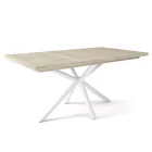 Fa étkezőasztal fehér lábbal Artisan tölgy T28048-2-6936