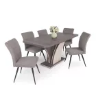 Fémvázas étkezőszék barna T28705