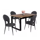 Fémvázas étkezőszék fekete T28739