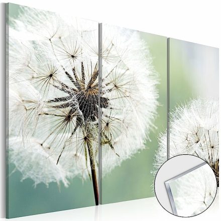 Akrilüveg kép - Fluffy Dandelions [Glass]