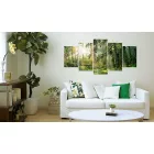 Akrilüveg kép - Green Sanctuary [Glass]