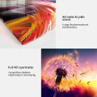 Akrilüveg kép - Silver Serenity [Glass]