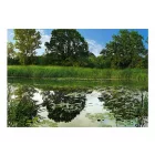 Fotótapéta - Végre nyár van