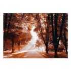 Fotótapéta - Átszűrődő napfény