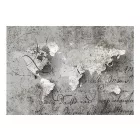 Fotótapéta - Világtérkép és levél