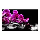 Fotótapéta - Relax pillanat: orchidea virág és kövek