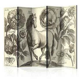 Paraván - Kecsesség