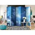 Paraván - Természet csodája 2