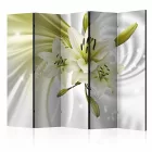 Paraván - Nyers természet 2