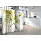 Paraván - Nyers természet 2