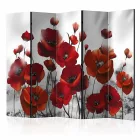 Paraván - Téli pipacsszőnyeg 2