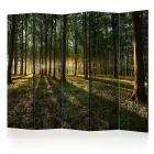 Paraván - Csodálatos napfelkelte 2