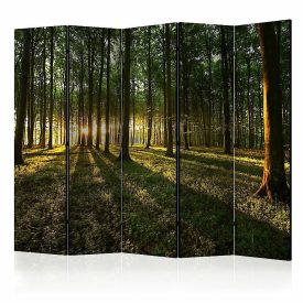 Paraván - Csodálatos napfelkelte 2