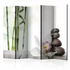 Paraván - Teremtő boldogság 2