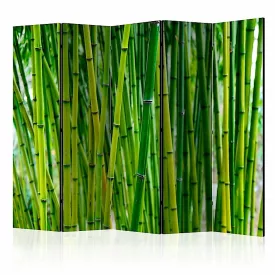 Paraván - Bambuszerdő 2