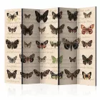 Paraván - Lepkehadak 2