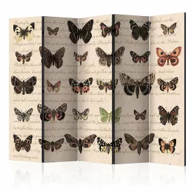 Paraván - Lepkehadak 2