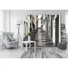 Paraván - A 75. lépcsőfok